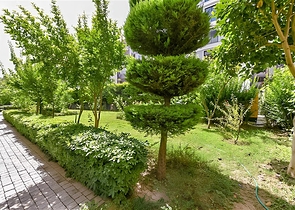 Wohnung 2+1 mit separater Küche 50 Meter vom Meer entfernt im Zentrum von Alanya