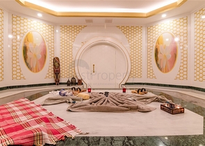 2+1 möblierte Wohnung im Stadtteil Mahmutlar