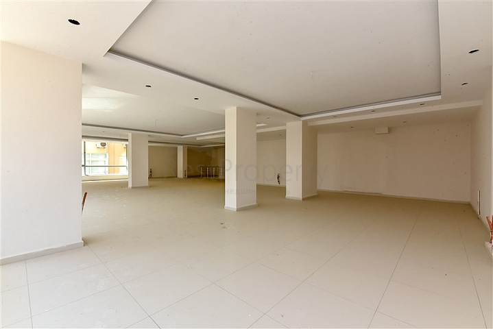 Gewerbeflächen von großer Fläche in der unteren Beide