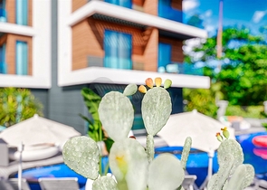 Investitionsprojekt in Altyntaş - Antalya 