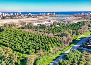 2+1-Apartments in der Wohngegend Persimmon - Antalya 