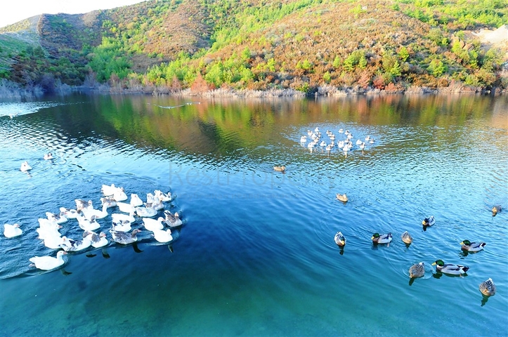 Luxus-Apartment mit direktem Meerblick