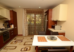 2+1 Apartment mit Zugang zum Garten zu vermieten