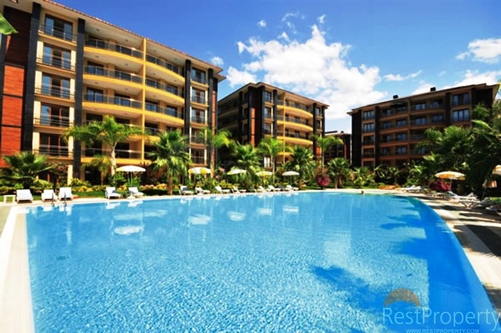 Wohnungen in erster Linie zu vermieten