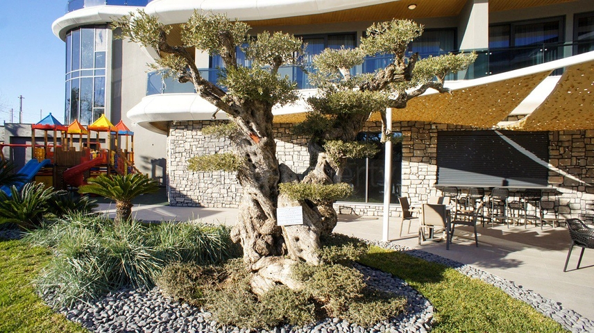 Neue Luxusanlage in der Nähe des Meeres in Kargicak Neue Luxusanlage in der Nähe des Meeres in Kargicak