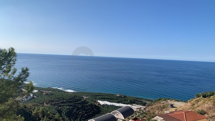 Private Villa für ein Designprojekt