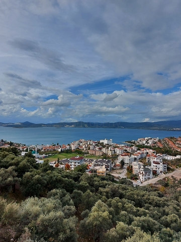Schönes Leben auf einer Halbinsel mit einzigartiger Natur