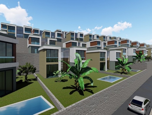 Schönes Leben auf einer Halbinsel mit einzigartiger Natur