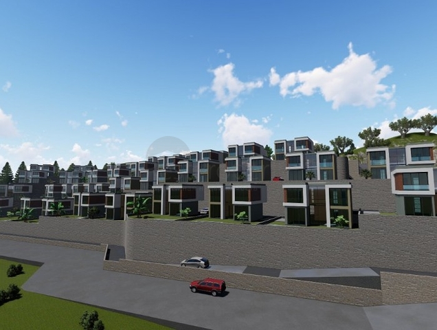 Schönes Leben auf einer Halbinsel mit einzigartiger Natur