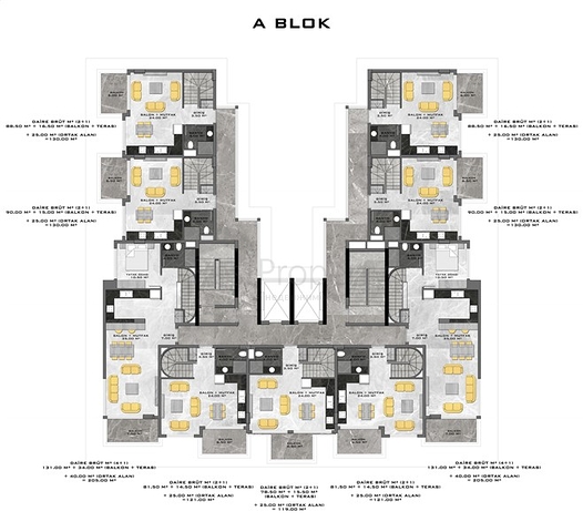 Neues Investitionsprojekt an der ersten Küste