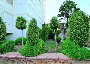 Zweizimmerwohnung im Stadtteil Tosmur