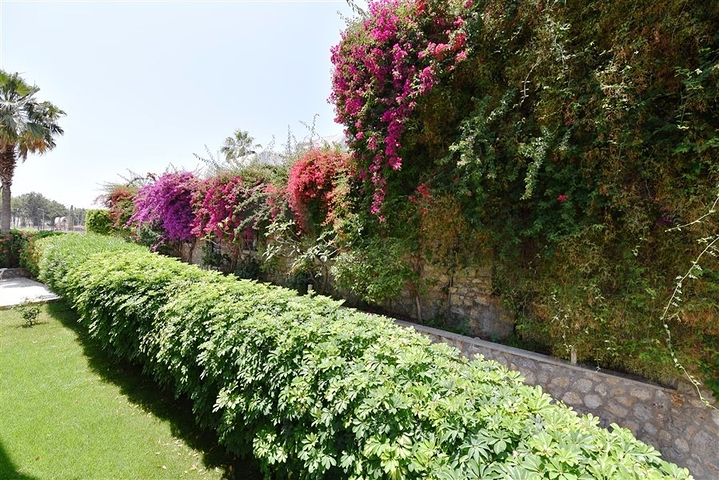 Maisonette-Garten in der Nähe des Meeres in Konakly