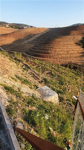 Grundstück für den Bau einer Villa 