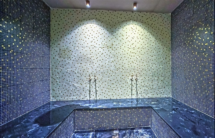 2+1 Penthouse im Stadtteil Tosmur 