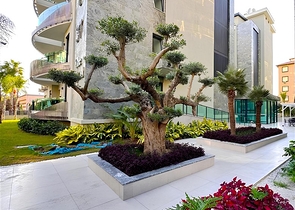 1+1 Wohnung in einem der besten Komplexe von Alanya 