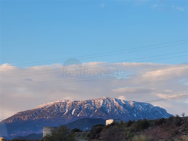 Geräumige 2+1-Wohnung mit Meerblick in einer ruhigen Gegend von Alanya  Geräumige 2+1-Wohnung mit Meerblick in einer ruhigen Gegend von Alanya