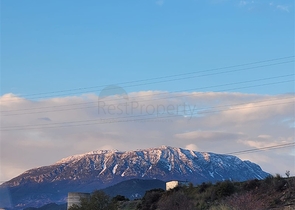 Geräumige 2+1-Wohnung mit Meerblick in einer ruhigen Gegend von Alanya  Geräumige 2+1-Wohnung mit Meerblick in einer ruhigen Gegend von Alanya