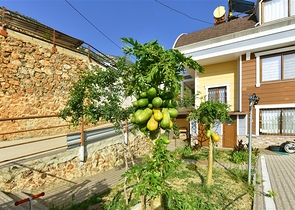 Geräumige Villa 11+2 mit privatem Grundstück und Panoramablick auf das Meer